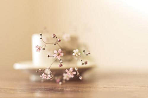 QQ˸еĿռ˵