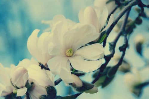 ˸ж黰ȫ2