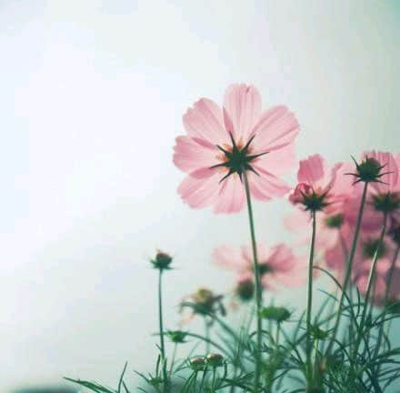 ͼƬ˸а2