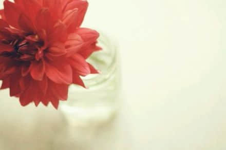 ͼƬ˸а5