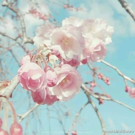 ͼƬ˸а3