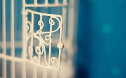 ˸˵˵2