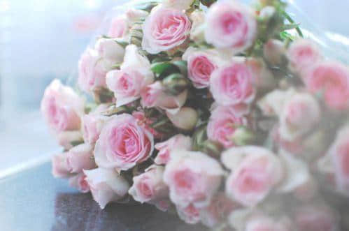 qq˵˸Ů3