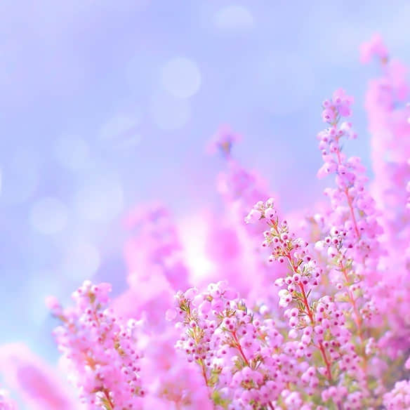 ¸˵ȫ2013°2