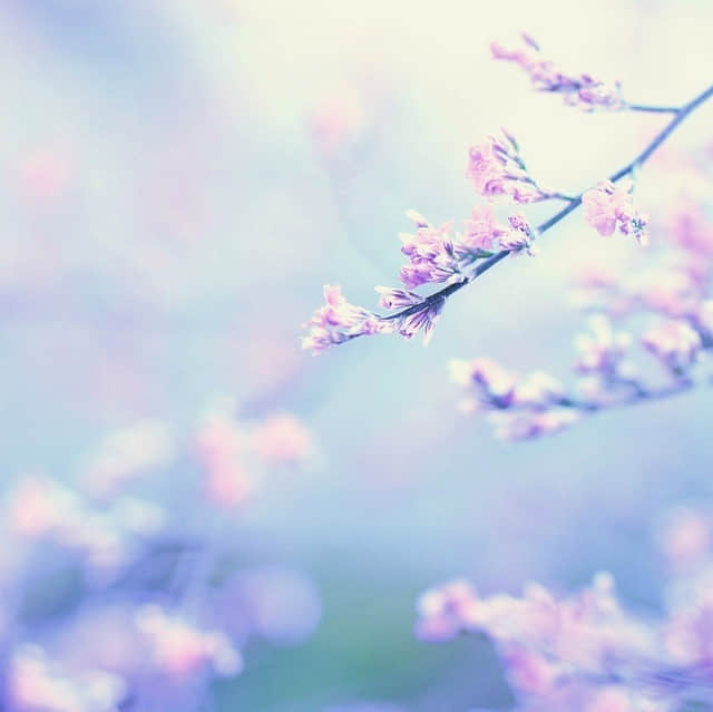 ĵĻ ɳСʹֵӽഺ2
