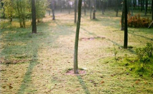 ڰΨӢĶ̾