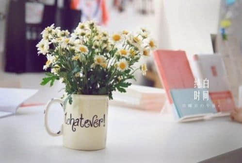 밮˸Ӣ˵˵ȫ
