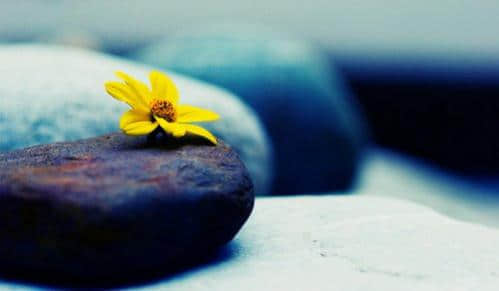 ڰ˵˵ Ҫĵһ˺ʹ