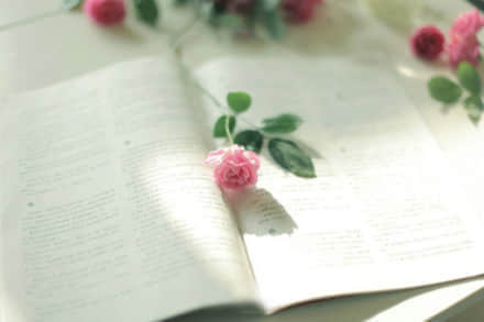Ů˵໰ ٷǣҲı䲻㱼ò