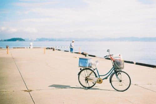 鲻õ־