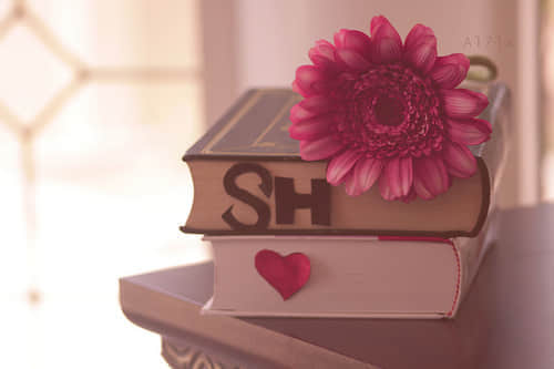 ԰һ㣬밮Ҿһ