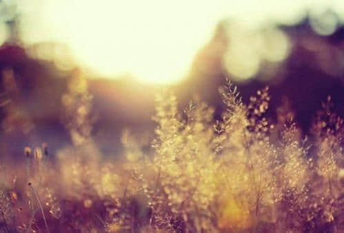 qq˸еĶ̾