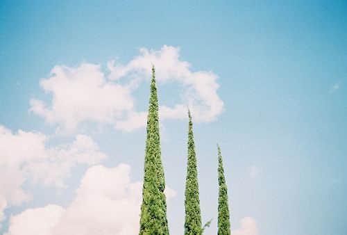 ˵˵ͼƬ15