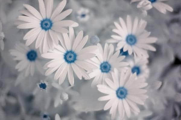 ҲסٱҲֲʱ