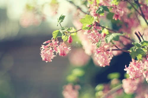 ͼƬ˸˵˵2