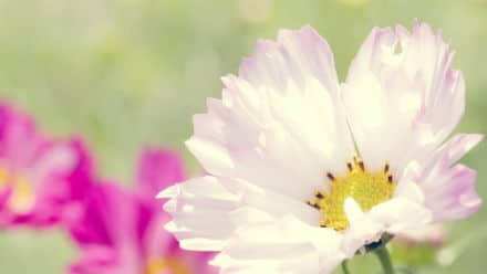 Ҫİ鲻һӲܣǳ˻һ