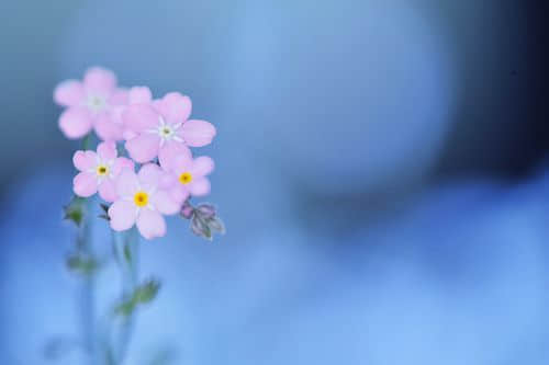 qq˸иǩ Աӵ㲻ܷ