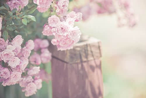 ͼƬ˵˵