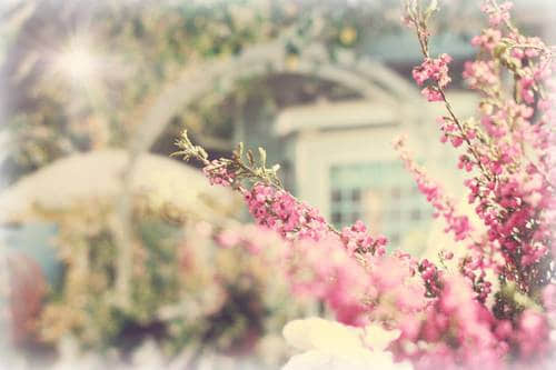 qq չÿ˵ĸܣעԼ