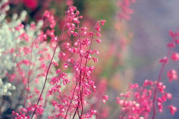 qqռ˵˵ ˵Ķ ĵķͱüӲޱ