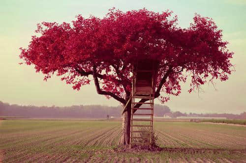 ʱҪݺˤһӣ֪ڵλ