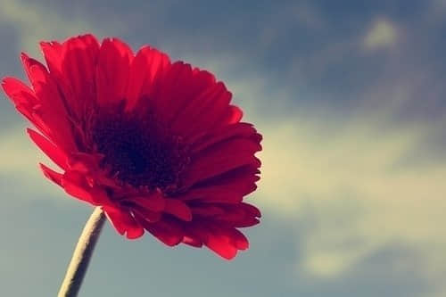 ϵ˵˵ͼƬȫ5