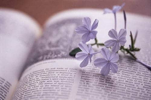ϵ˵˵ͼƬȫ