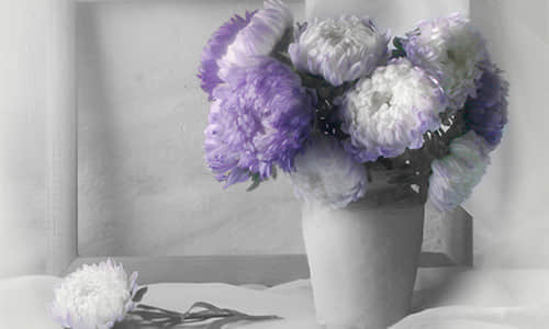ϵ˵˵ͼƬȫ9