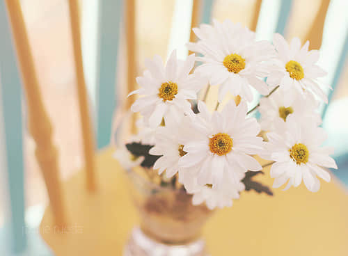 йʥڵ˵˵