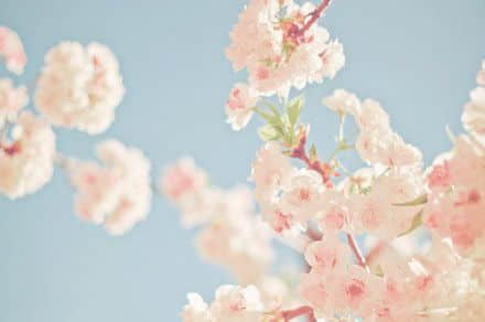 ˵ĸǩŮ