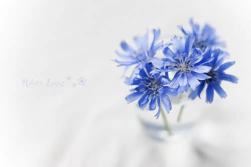 ۵˸