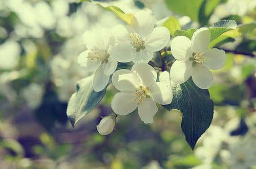 οԼ˵˵ȫ