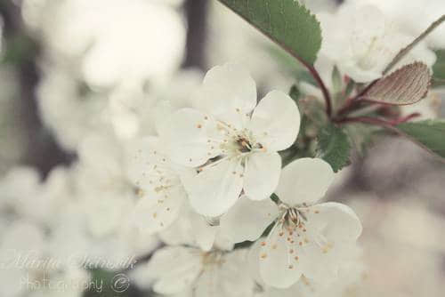 ʣµ·һ