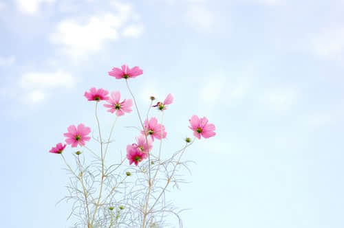 qq˵Ŀռ˵˵ȫ