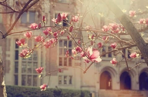 鵽֪ڲԸ