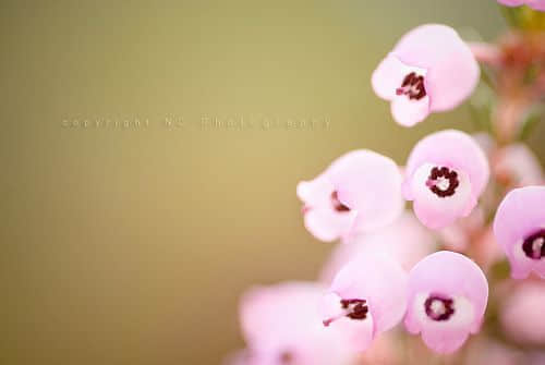 鲻õ˸˵˵ͼƬ6