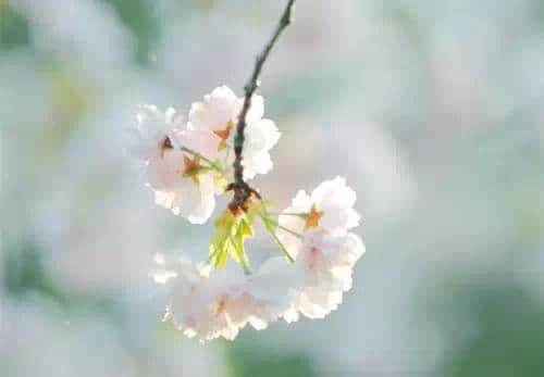 ʹˣȻͻ