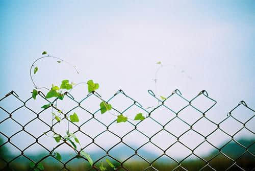 ڳͼƬ˵˵7