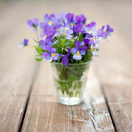 Ů˸еĸǩ