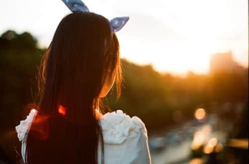2015Ц˵˵ȫ