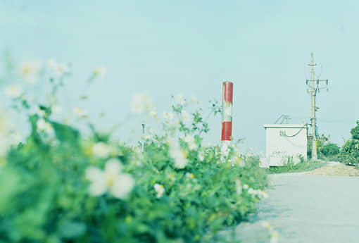 2015ȤĬ˵˵