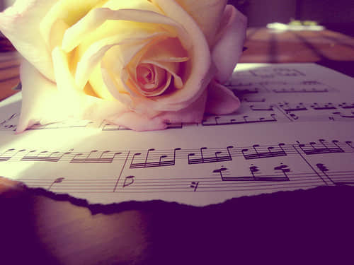 ʧȥŶϧ