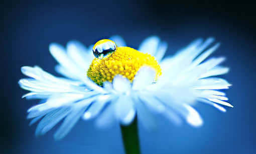 ˸еͼƬ