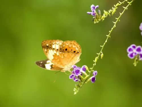 ˸еͼƬ4