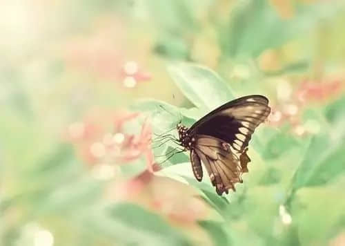 ˸еͼƬ5