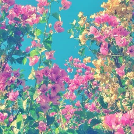 ϵ