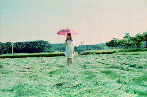 2015˸еĸ˵