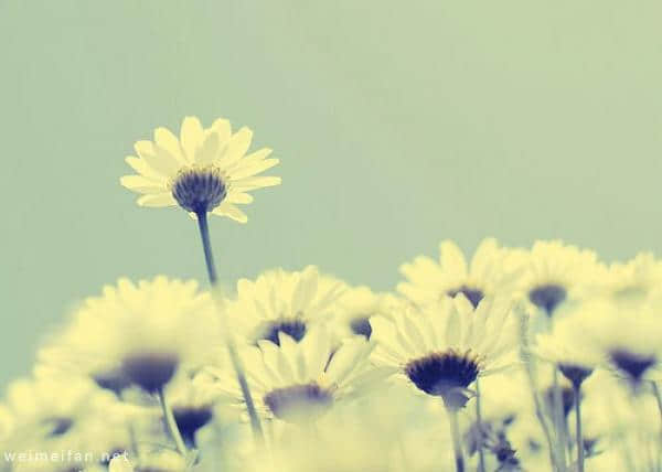 ĲΪˣǷ˰ȴ