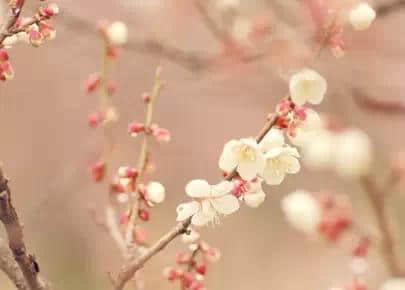 ڱ˵ʧԼ·