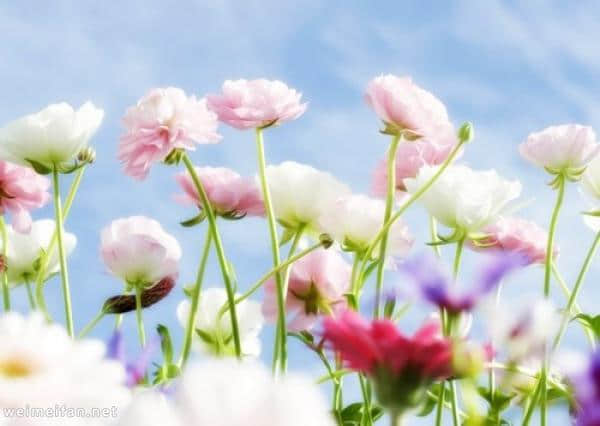 qq䰮˵˵ȫ ûܹ˵˲ŻȥЦ˵˰